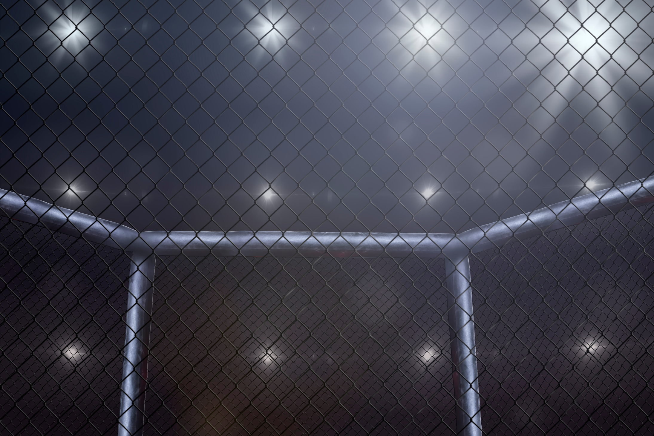 MMA fighting stage side view under lights. Not blurred.